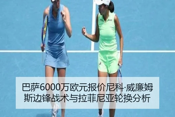 ba-sa-wan-ou-yuan-bao-jia-ni-ke-wei-lian-mu-si-bian-feng-zhan-shu-yu-la-fei-ni-ya-lun-huan-fen-xi-2-374.jpg